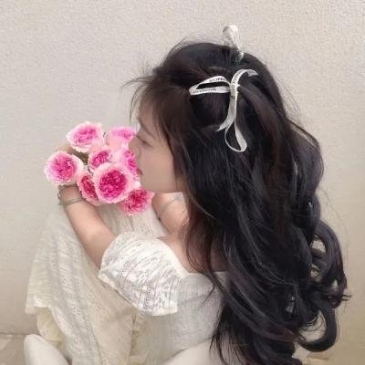 王冠的游戏:都铎家族