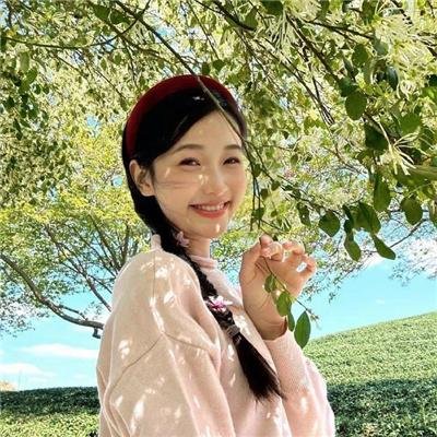 功夫特务
